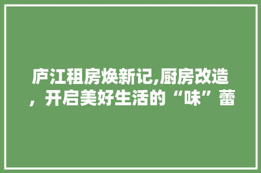 庐江租房焕新记,厨房改造，开启美好生活的“味”蕾之旅