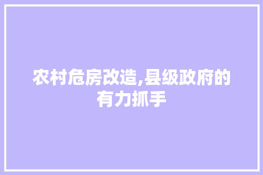 农村危房改造,县级政府的有力抓手 建筑设计