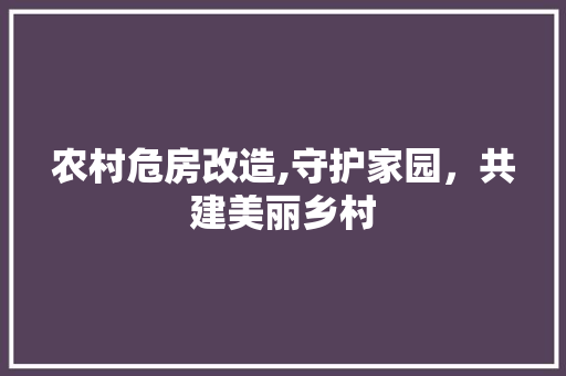 农村危房改造,守护家园，共建美丽乡村