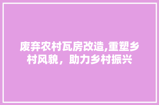 废弃农村瓦房改造,重塑乡村风貌，助力乡村振兴 墙面装饰