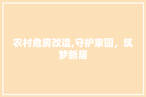 农村危房改造,守护家园，筑梦新居 庭院装修