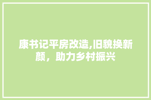 康书记平房改造,旧貌换新颜，助力乡村振兴