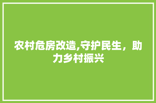 农村危房改造,守护民生，助力乡村振兴