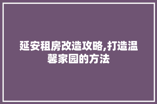 延安租房改造攻略,打造温馨家园的方法 隔断设计