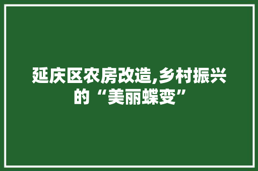 延庆区农房改造,乡村振兴的“美丽蝶变” 墙面装饰 延庆区农房改造,乡村振兴的“美丽蝶变” 墙面装饰