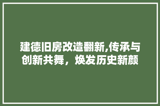 建德旧房改造翻新,传承与创新共舞，焕发历史新颜