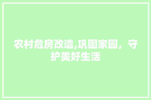农村危房改造,巩固家园，守护美好生活 景观设计