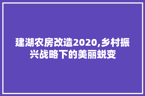 建湖农房改造2020,乡村振兴战略下的美丽蜕变 建筑设计