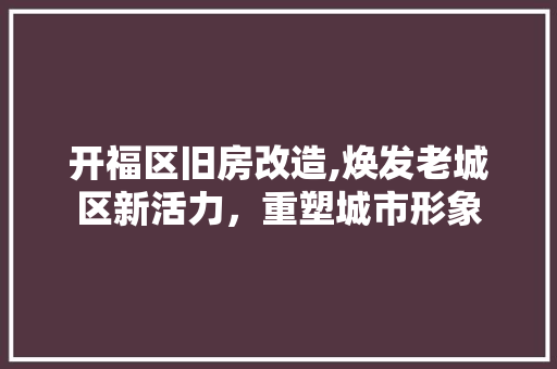 开福区旧房改造,焕发老城区新活力，重塑城市形象 建筑设计