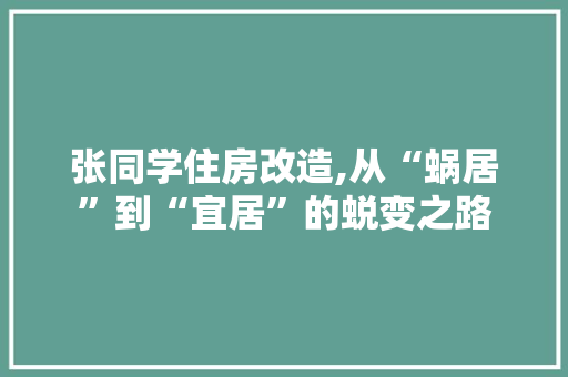 张同学住房改造,从“蜗居”到“宜居”的蜕变之路