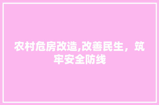 农村危房改造,改善民生，筑牢安全防线