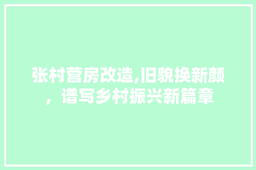 张村营房改造,旧貌换新颜，谱写乡村振兴新篇章 隔断设计