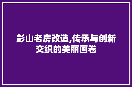 彭山老房改造,传承与创新交织的美丽画卷 庭院装修