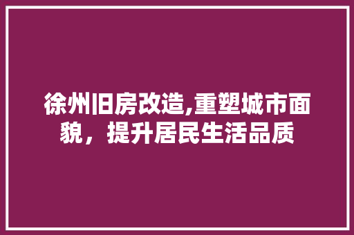 徐州旧房改造,重塑城市面貌，提升居民生活品质 墙面装饰
