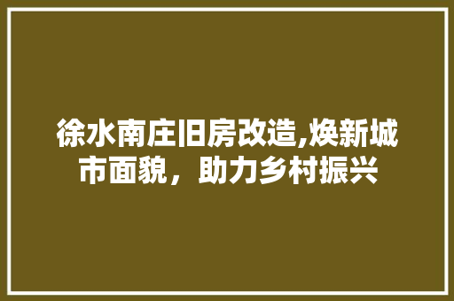 徐水南庄旧房改造,焕新城市面貌，助力乡村振兴 地面装修