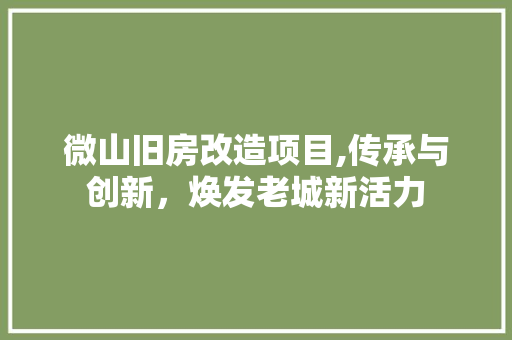 微山旧房改造项目,传承与创新，焕发老城新活力