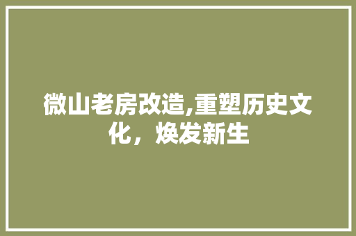 微山老房改造,重塑历史文化，焕发新生 墙面装饰