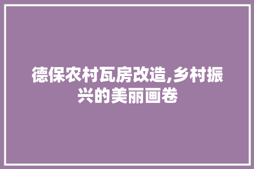 德保农村瓦房改造,乡村振兴的美丽画卷 景观设计