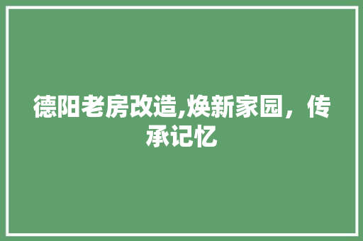 德阳老房改造,焕新家园，传承记忆