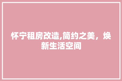怀宁租房改造,简约之美，焕新生活空间 隔断设计