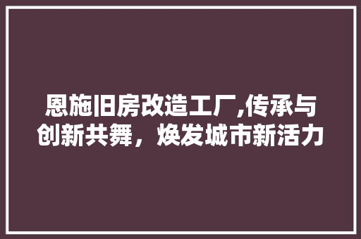 恩施旧房改造工厂,传承与创新共舞，焕发城市新活力 景观设计