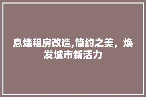 息烽租房改造,简约之美，焕发城市新活力 装修攻略