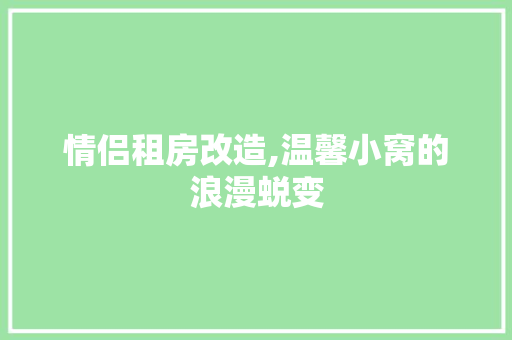 情侣租房改造,温馨小窝的浪漫蜕变 隔断设计