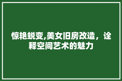 惊艳蜕变,美女旧房改造，诠释空间艺术的魅力 隔断设计