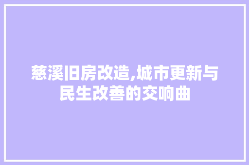 慈溪旧房改造,城市更新与民生改善的交响曲 地面装修