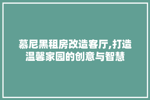 慕尼黑租房改造客厅,打造温馨家园的创意与智慧