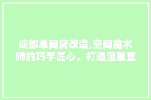 成都单间房改造,空间魔术师的巧手匠心，打造温馨宜居新天地 隔断设计