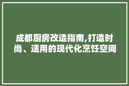 成都厨房改造指南,打造时尚、适用的现代化烹饪空间