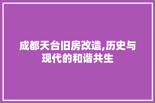 成都天台旧房改造,历史与现代的和谐共生 庭院装修