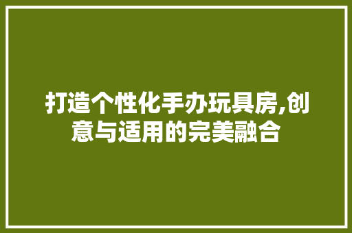 打造个性化手办玩具房,创意与适用的完美融合