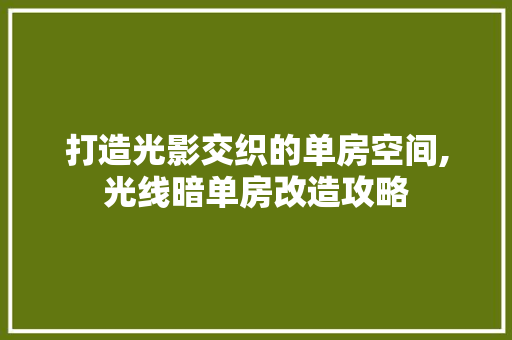 打造光影交织的单房空间,光线暗单房改造攻略 庭院装修