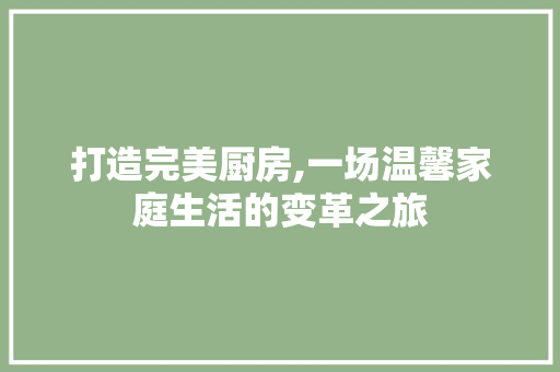 打造完美厨房,一场温馨家庭生活的变革之旅