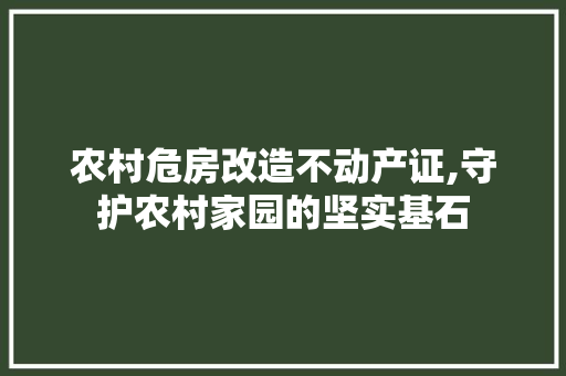 农村危房改造不动产证,守护农村家园的坚实基石