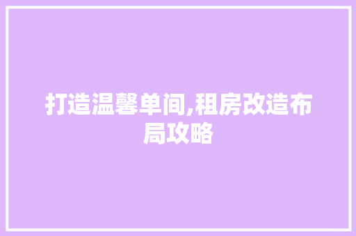 打造温馨单间,租房改造布局攻略 建筑设计