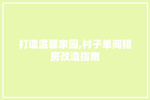 打造温馨家园,村子单间租房改造指南 装修攻略