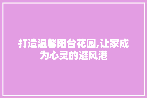打造温馨阳台花园,让家成为心灵的避风港