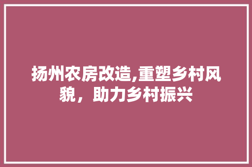 扬州农房改造,重塑乡村风貌，助力乡村振兴 墙面装饰