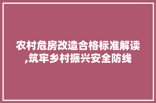 农村危房改造合格标准解读,筑牢乡村振兴安全防线