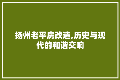 扬州老平房改造,历史与现代的和谐交响
