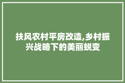 扶风农村平房改造,乡村振兴战略下的美丽蜕变
