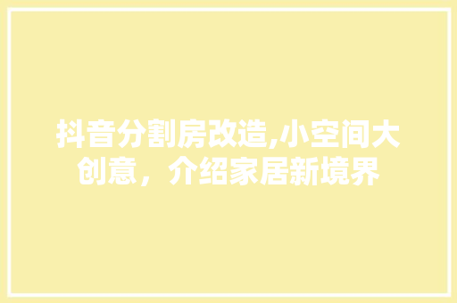抖音分割房改造,小空间大创意，介绍家居新境界