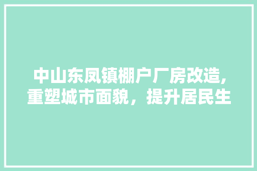 中山东凤镇棚户厂房改造,重塑城市面貌，提升居民生活品质