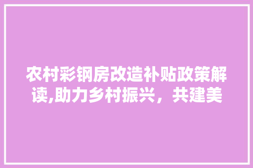 农村彩钢房改造补贴政策解读,助力乡村振兴，共建美好家园 景观设计