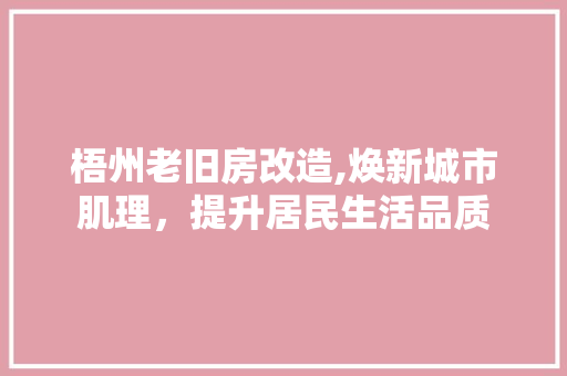 梧州老旧房改造,焕新城市肌理，提升居民生活品质