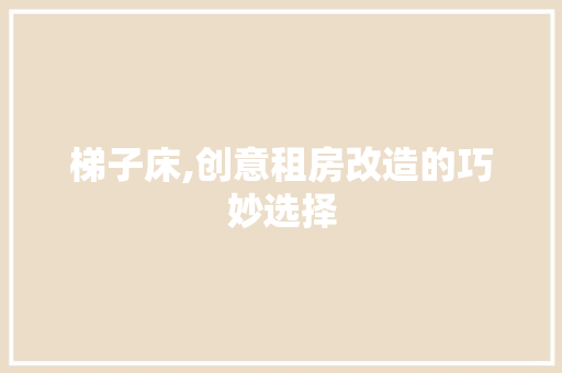 梯子床,创意租房改造的巧妙选择 装修攻略