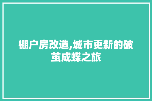 棚户房改造,城市更新的破茧成蝶之旅